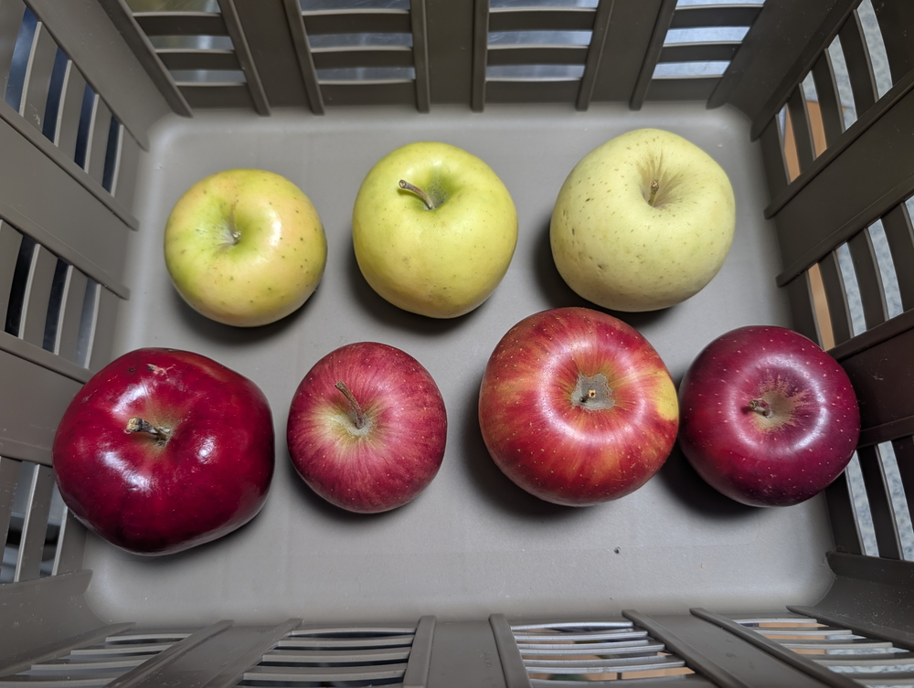 おかずのアップ