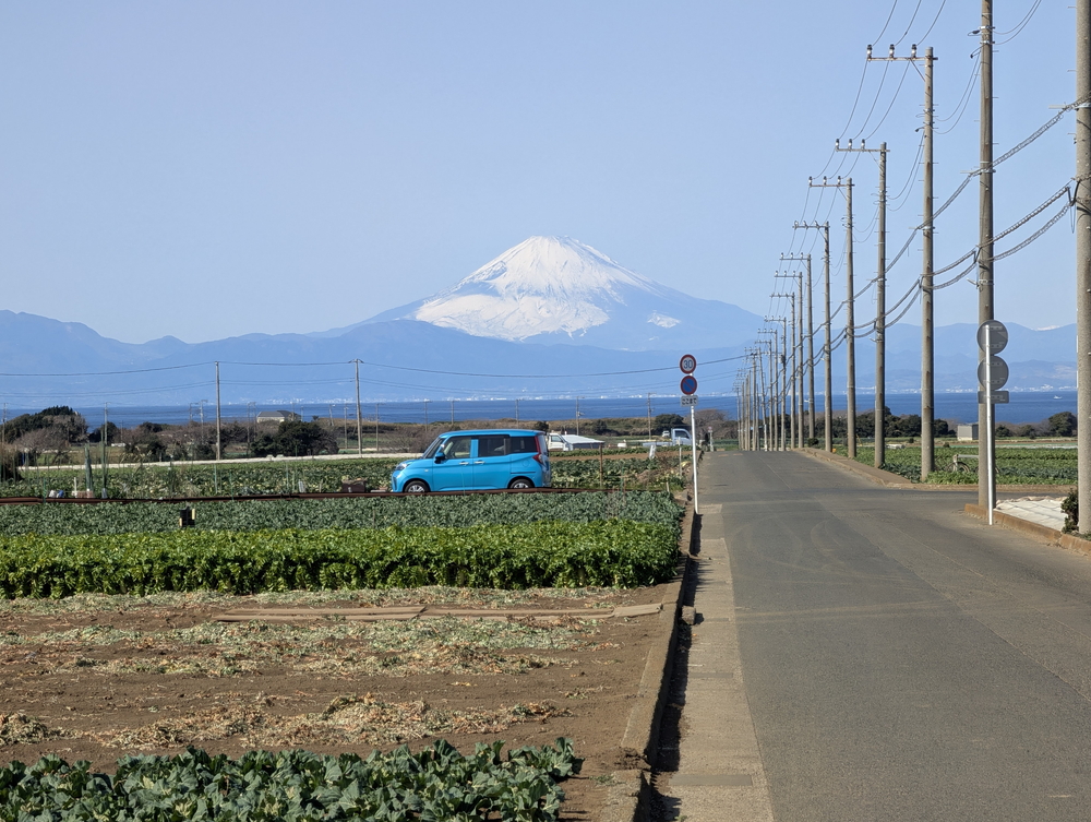 マホロバマインズ三浦の外観